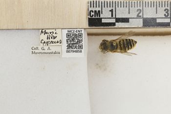 Media type: image;   Entomology 794858 Aspect: Labels